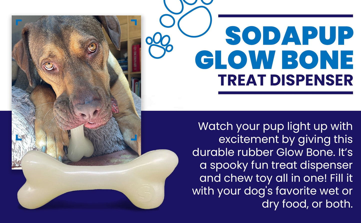 TOY: PUP-X Rubber Bone Dog Toy