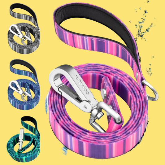 Dog leashes with colorful patterns and metal clips on a white background