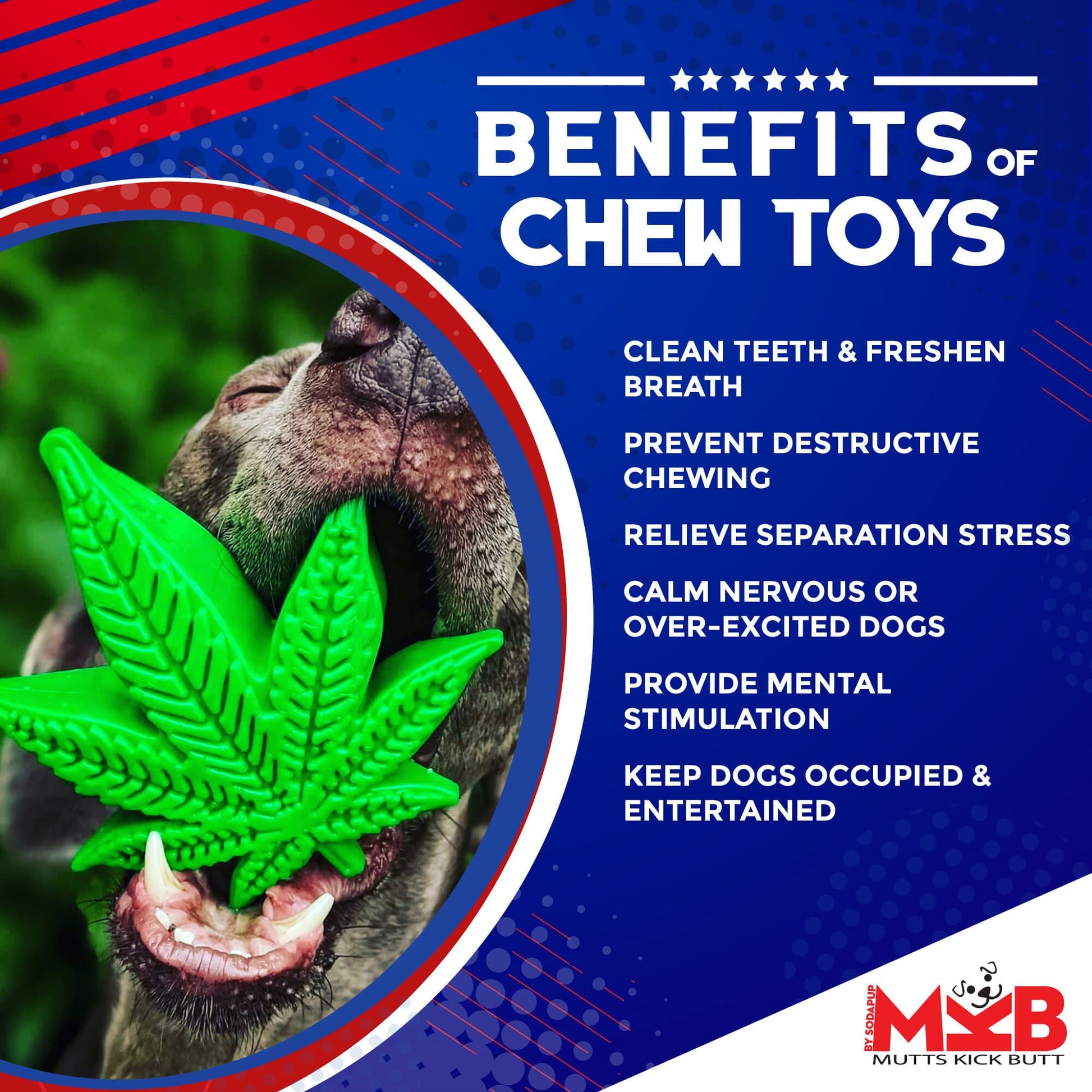 Dog chewing on a green chew toy shaped like a cannabis leaf with text listing benefits of chew toys.