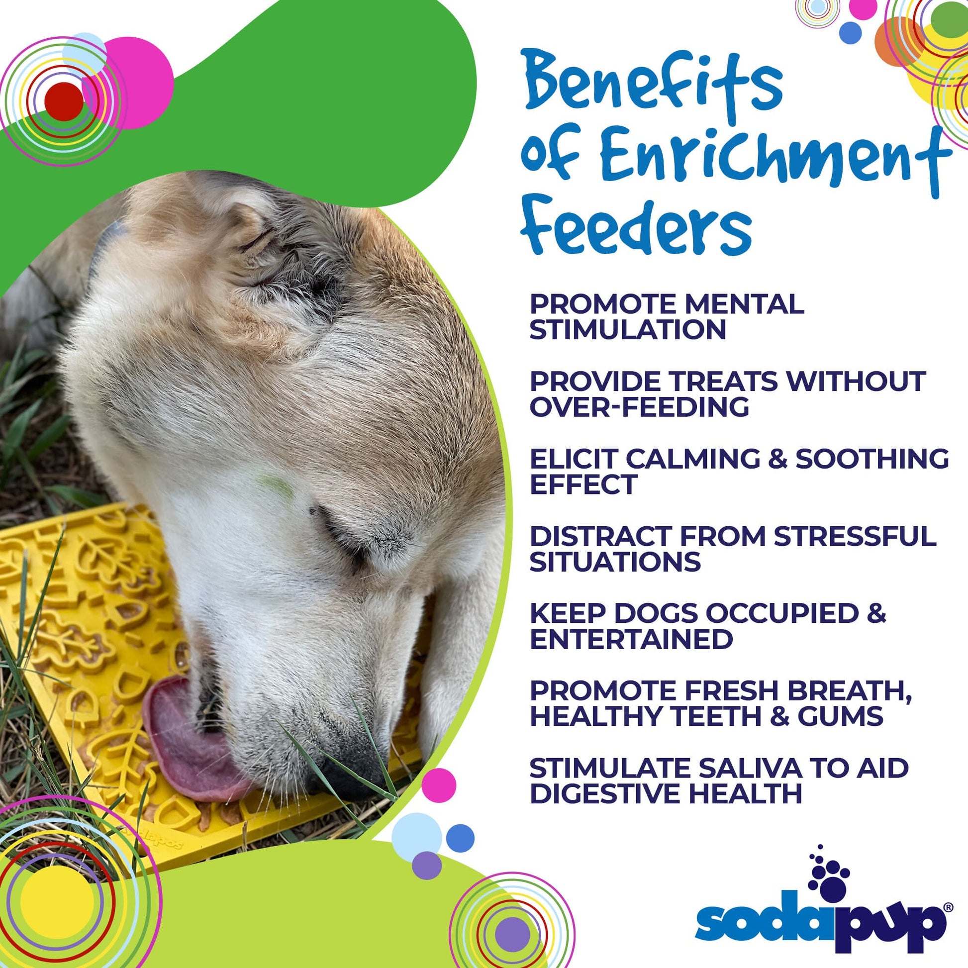 Dog interacting with an enrichment feeder, with text listing benefits of enrichment feeders on a colorful background.