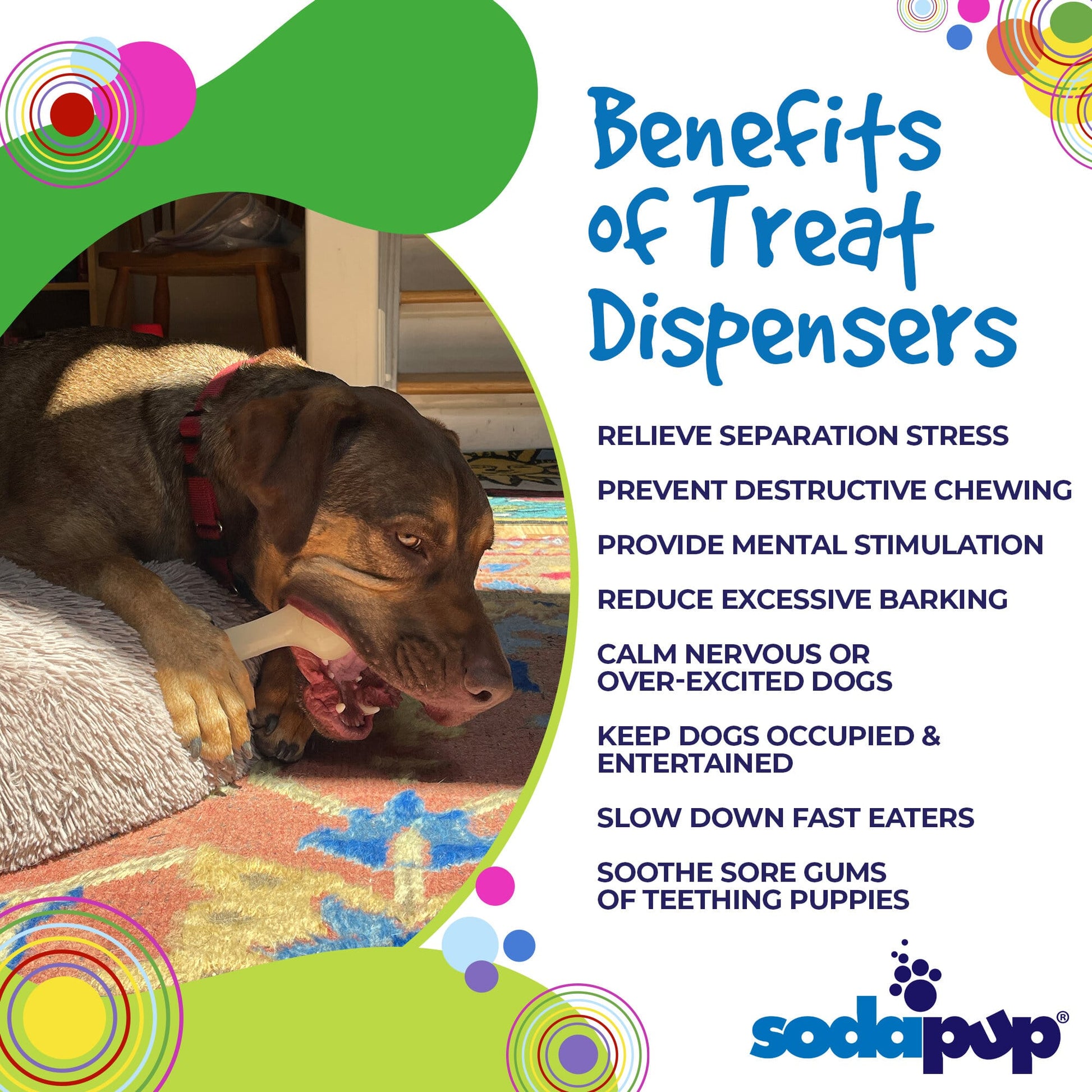 Dog chewing on a treat with text listing benefits of treat dispensers and SodaPup logo.