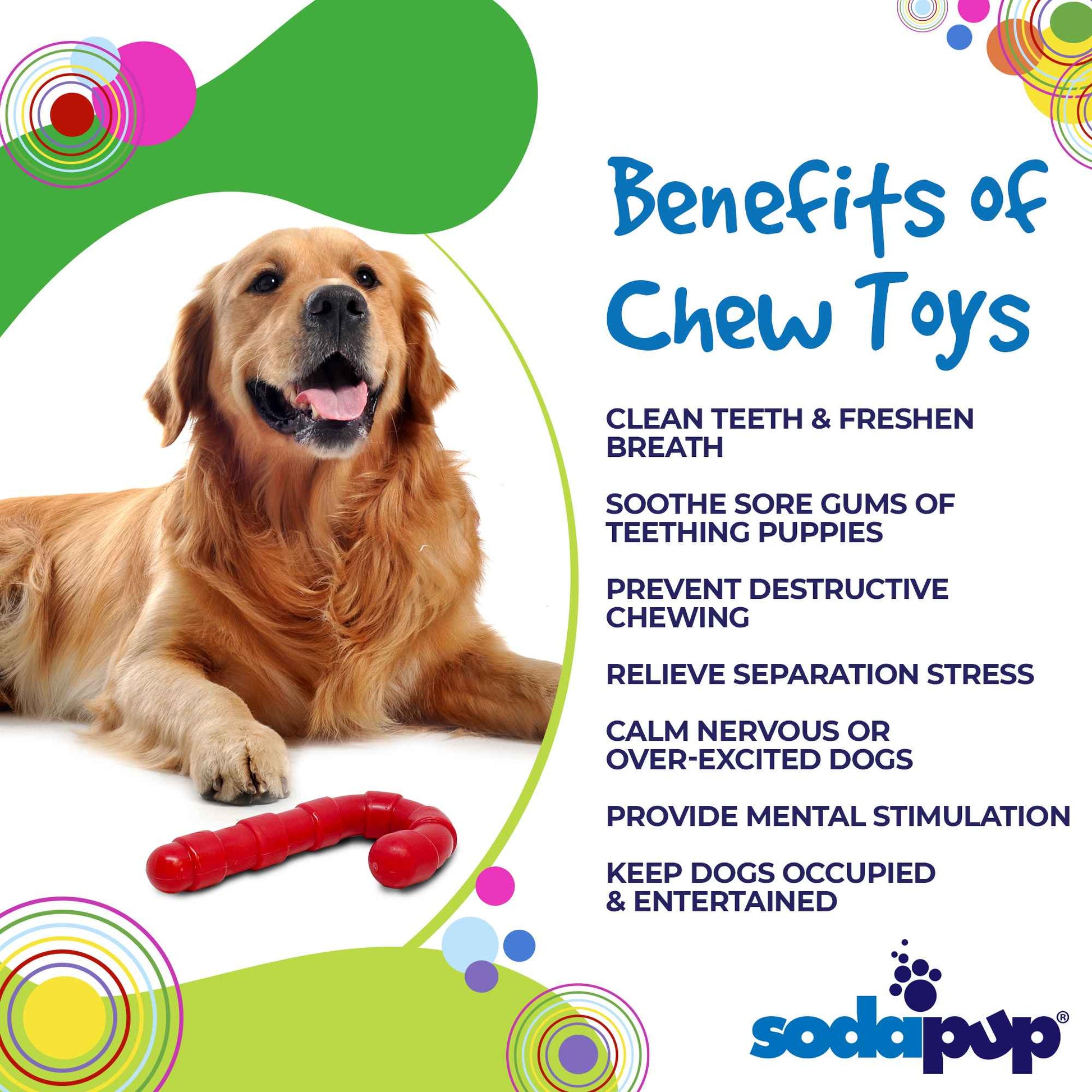 Dog with a chew toy and list of benefits on a colorful background, featuring the SodaPup brand.