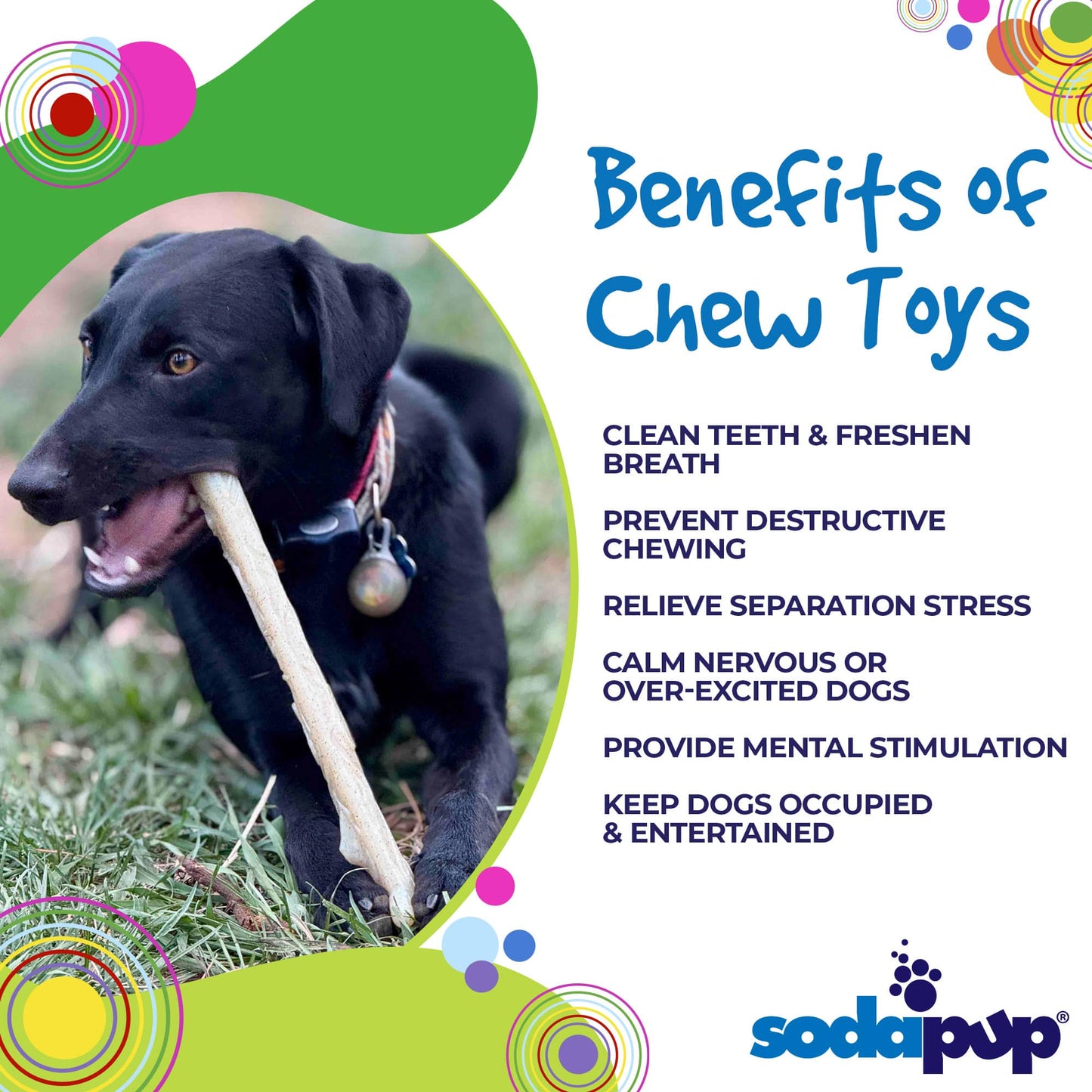 TOY: Durable Nylon Chew Stick for Power Chewers | Indestructible Dog Toy