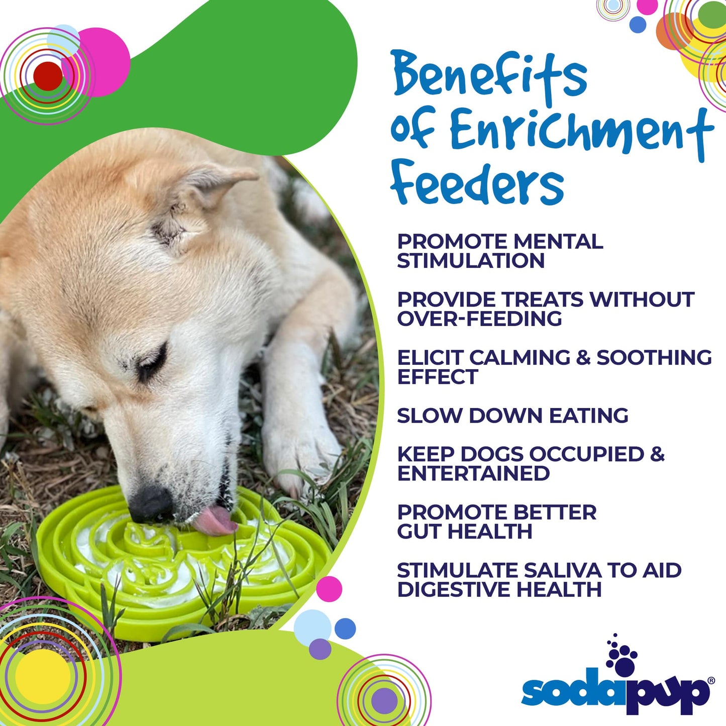 Dog interacting with a green enrichment feeder with text listing benefits on a colorful background.