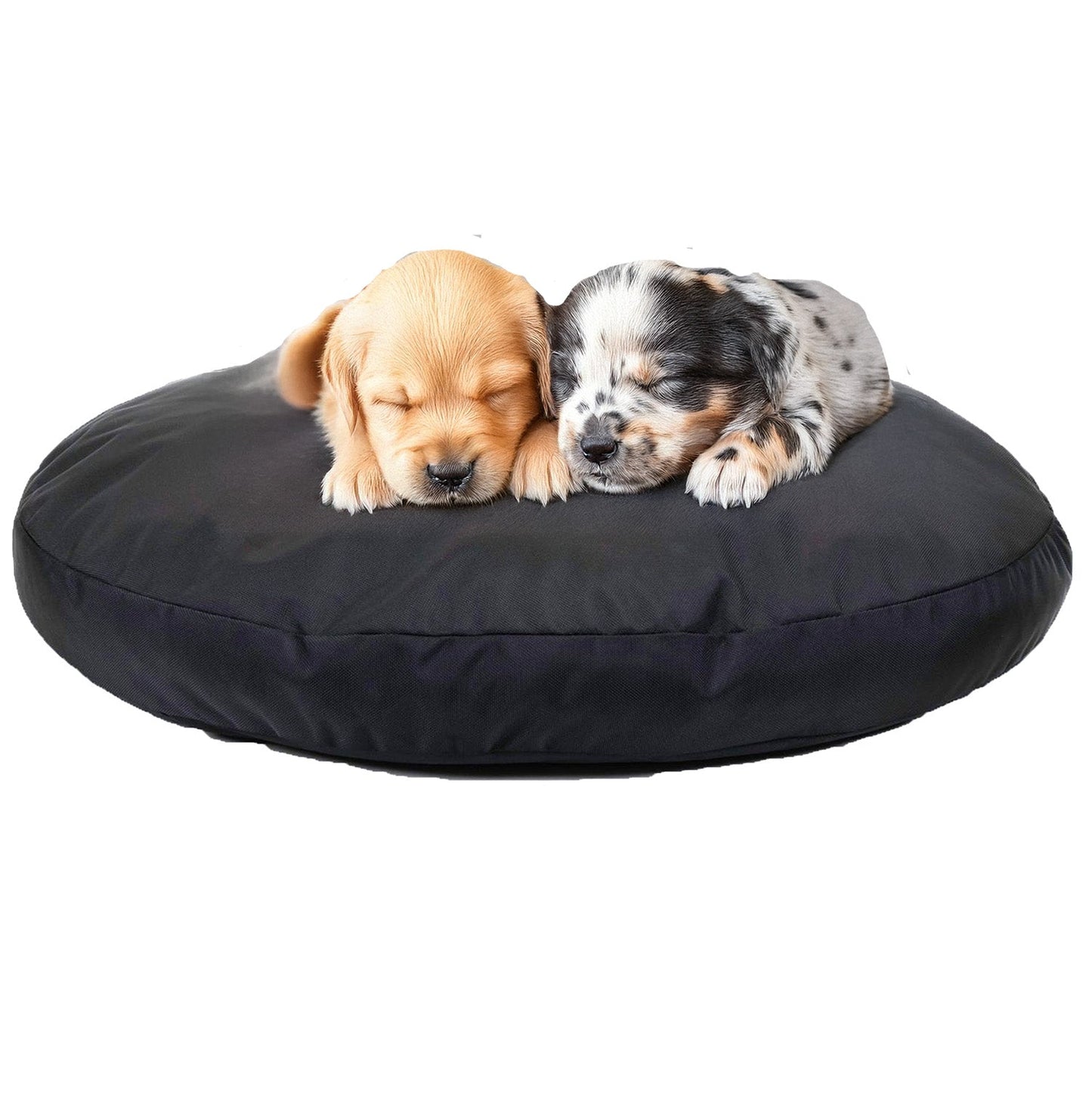 Two puppies sleeping on a black round dog bed against a white background
