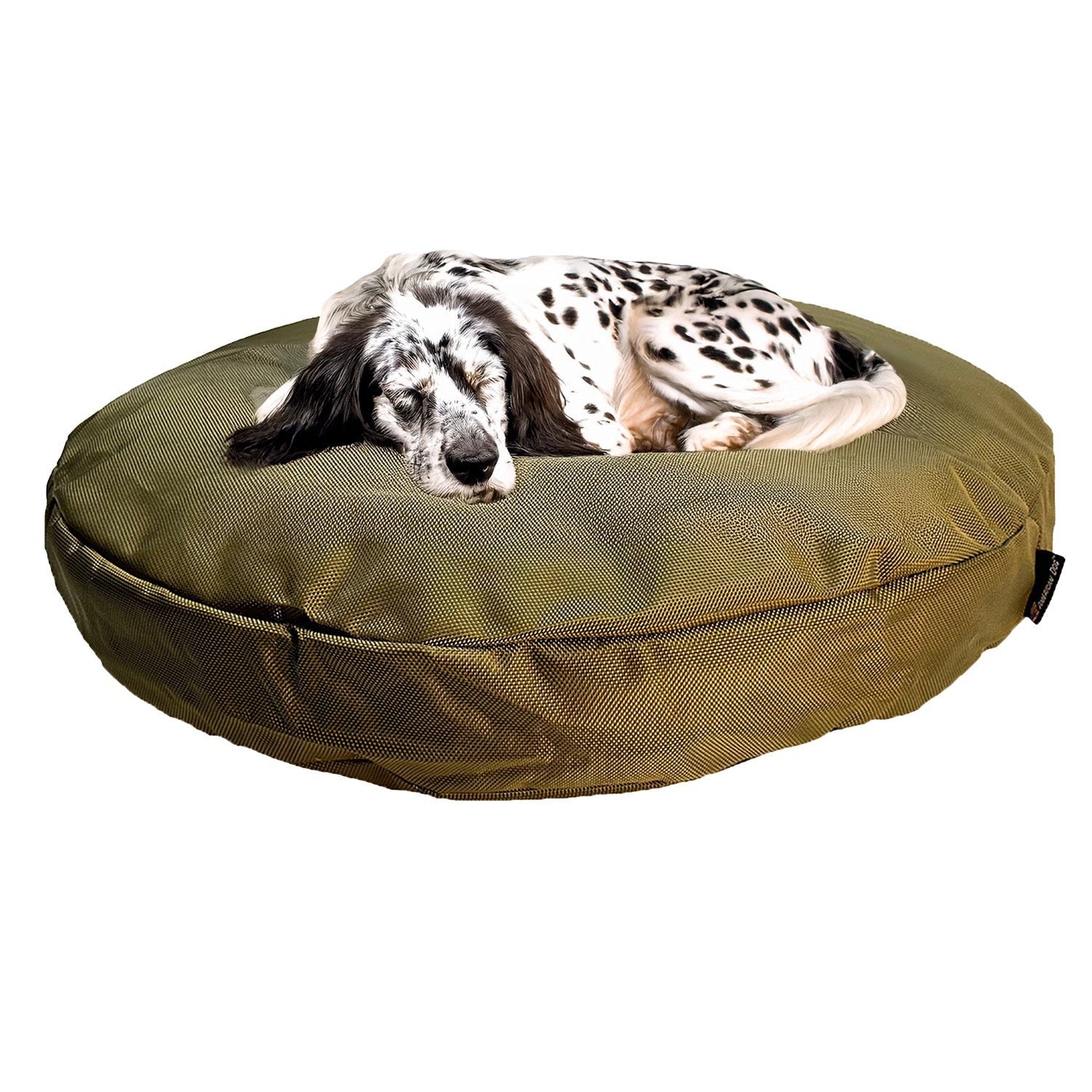 Dog lying on a green round dog bed against a yellow background