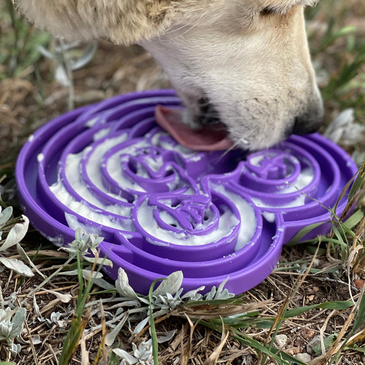 Dog drinking from a purple silicone water bowl on grass