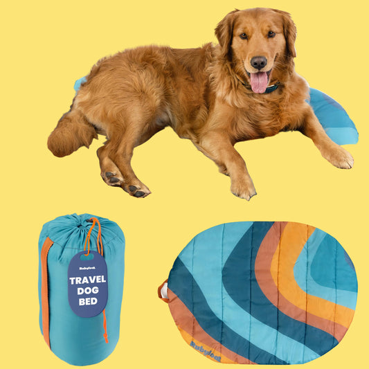 Dog lying on a colorful travel dog bed with a packed version and close-up of the design.