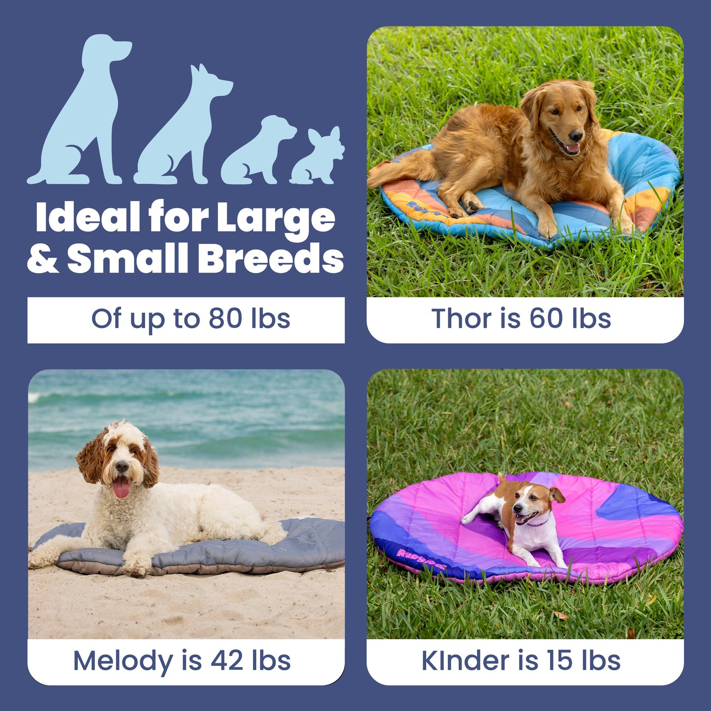 Dog pads for large and small breeds with images of dogs on the pads.