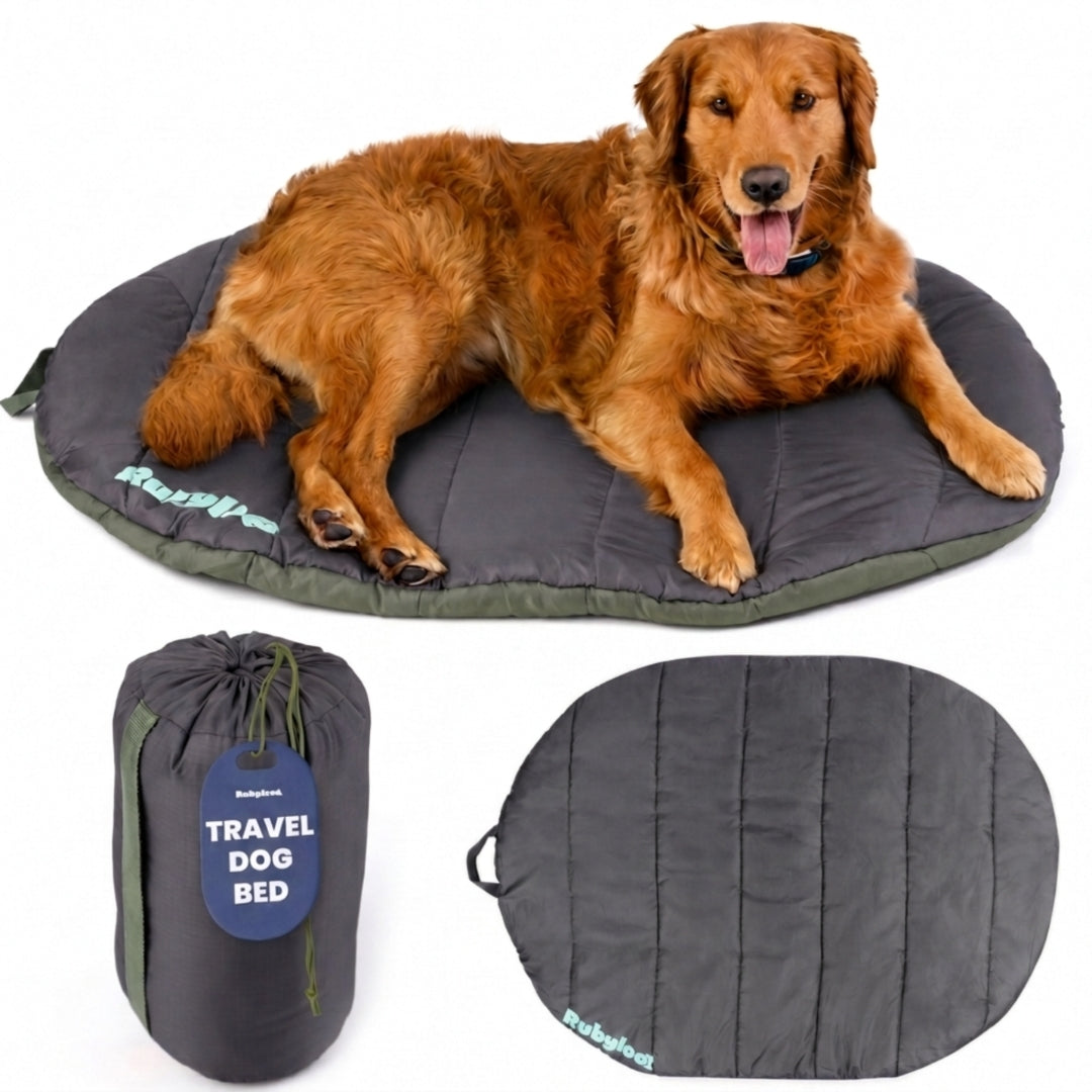 Dog Bed - Foldable for Travel, Road Trip, Camping | Rubyloo