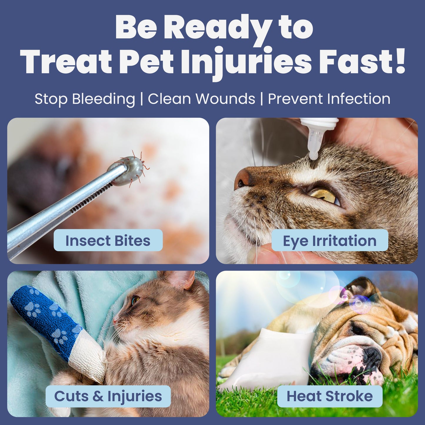 First Aid Kit for Dogs & Cats with Vet-Approved Essentials  | Rubyloo