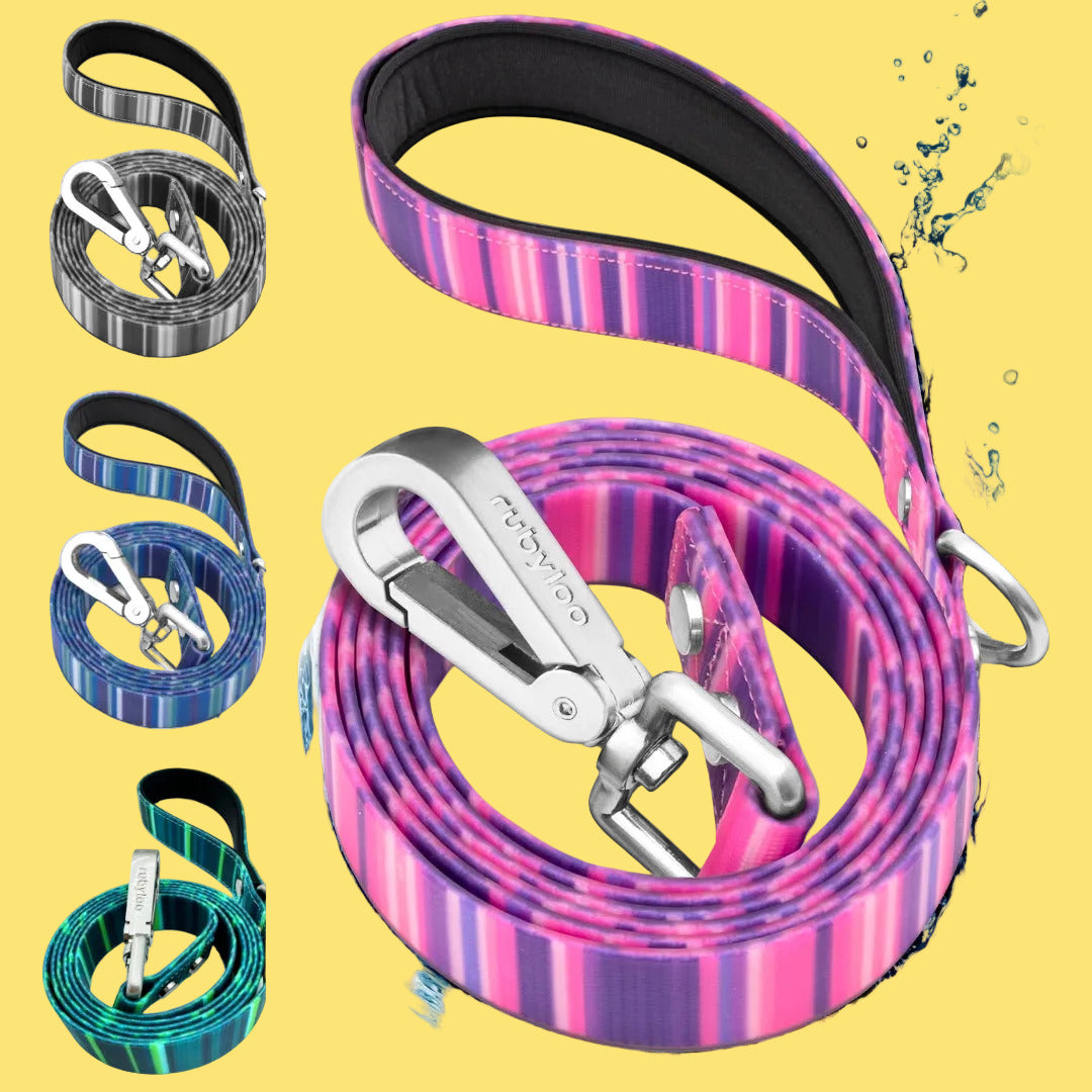 Dog leashes with colorful patterns and metal clips on a white background