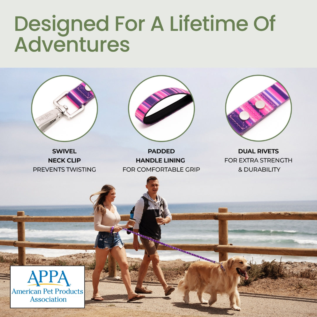 Two people walking a dog on a leash with product features highlighted, set against a beach backdrop.