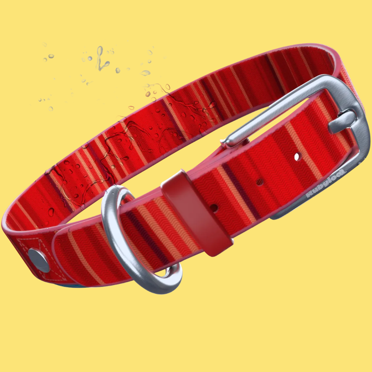 Red striped dog collar with silver buckle on a white background