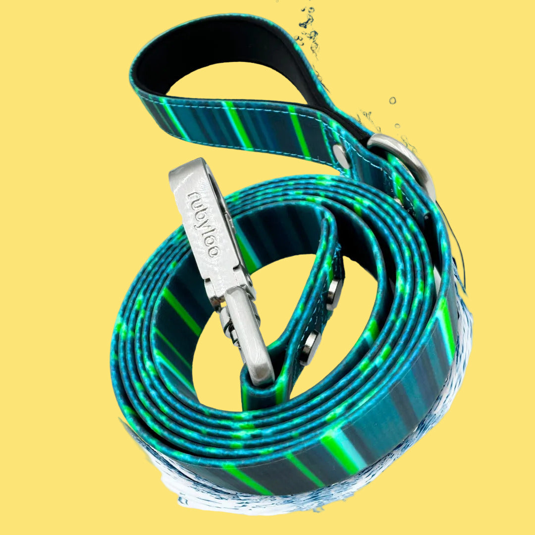 Blue and green striped dog leash with water droplets on a white background