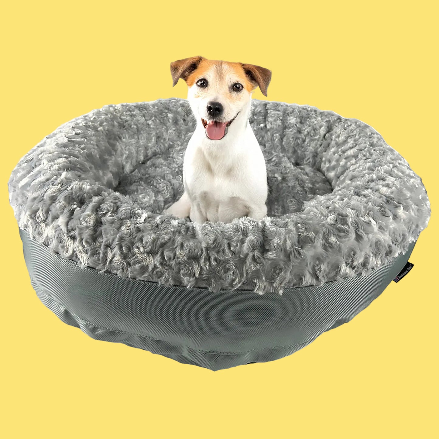 Dog sitting on a gray donut bed with a yellow background