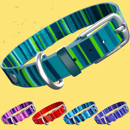 Colorful striped dog collars with metal rings on a white background