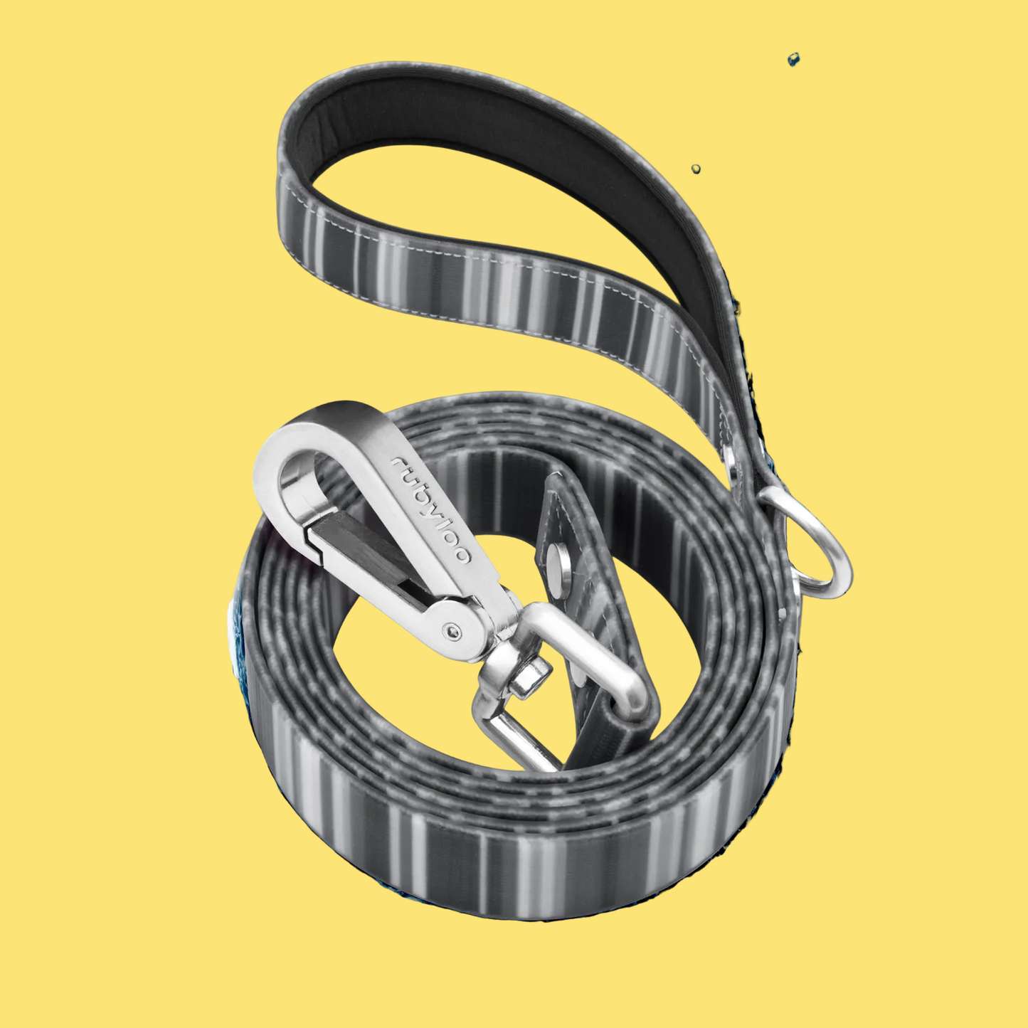 Dog leash with a silver clip on a white background