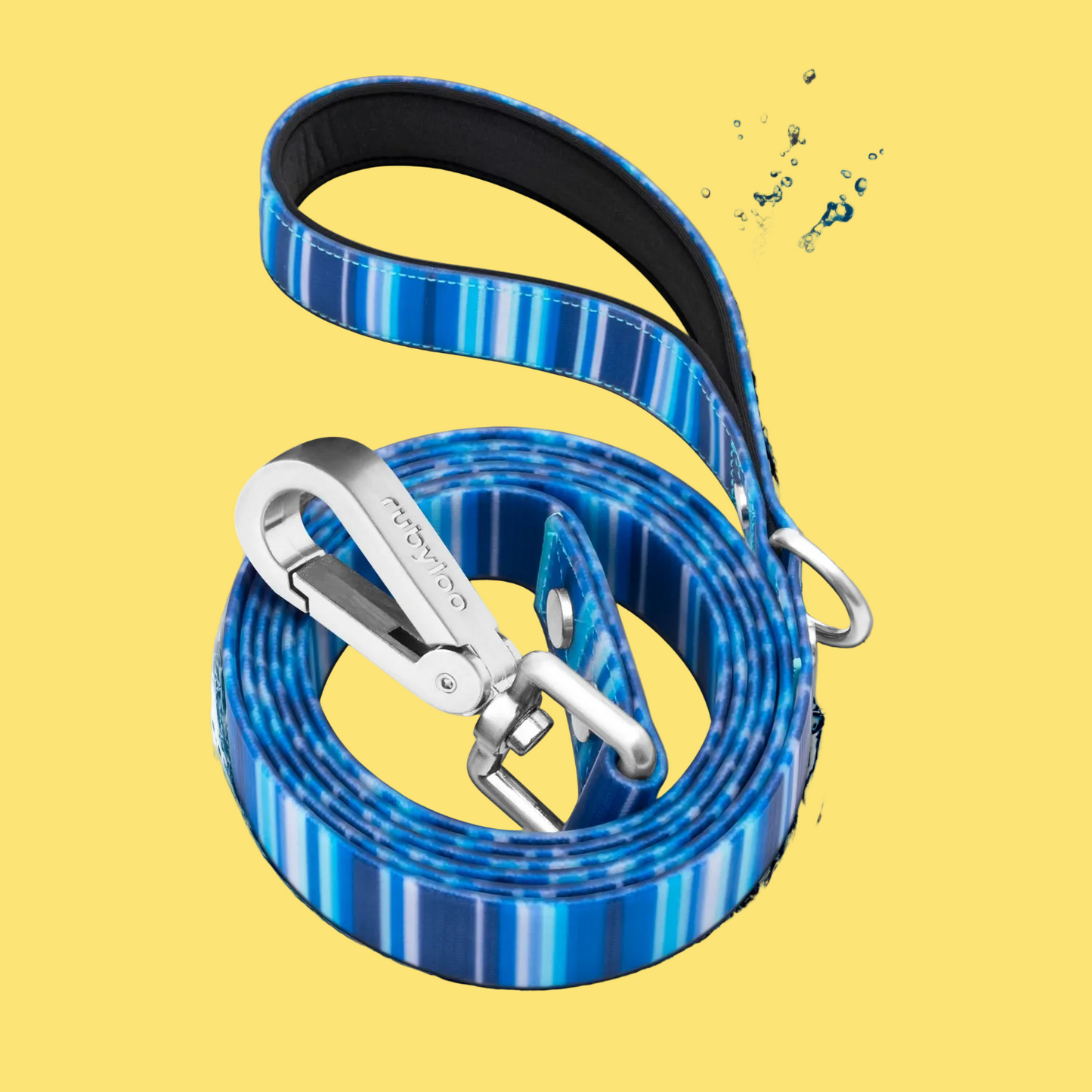 Blue striped dog leash with silver clip on a white background