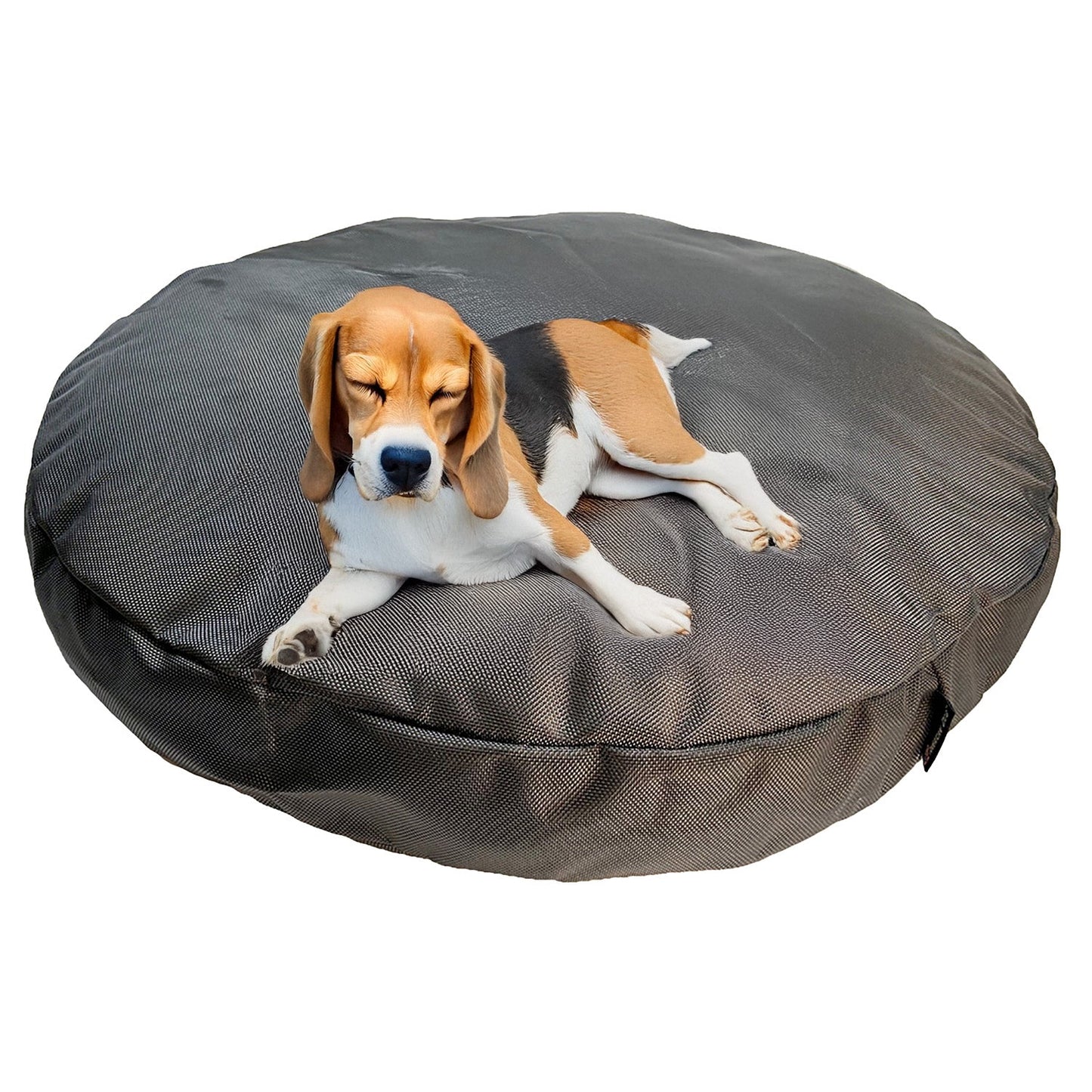 Dog lying on a gray pet bed with a white background