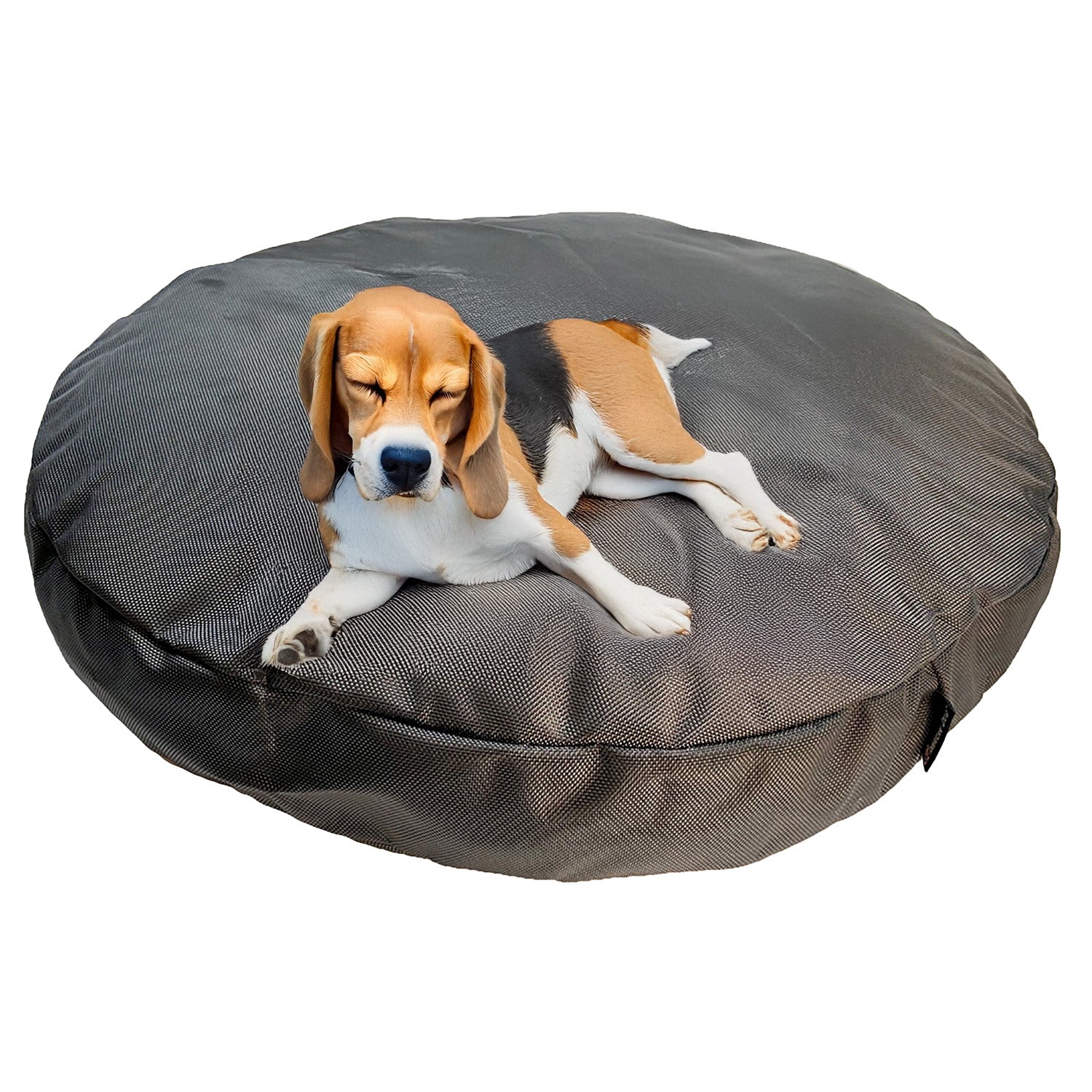 Dog lying on a gray pet bed with a white background