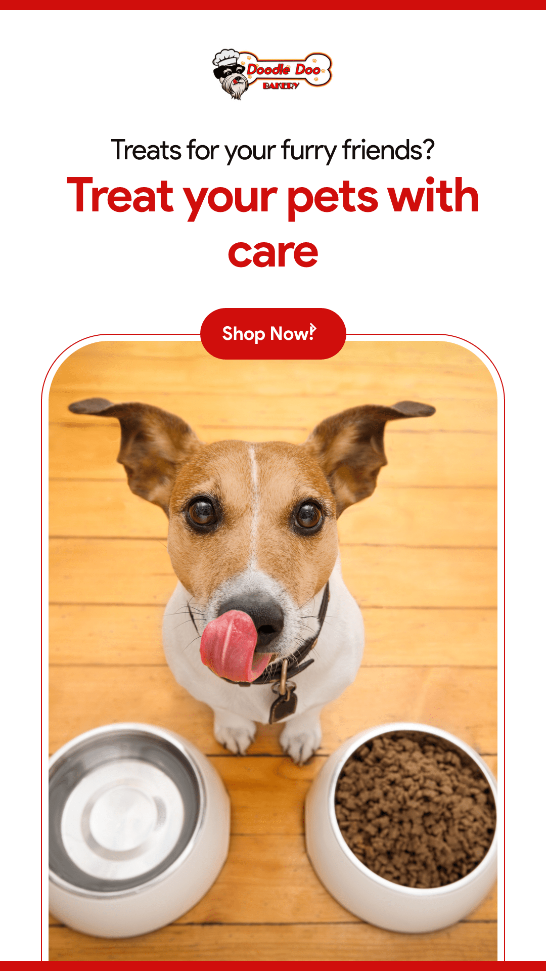 TREAT: Party Bag Dog Treats Blend 1lb - Homemade Dog Treats