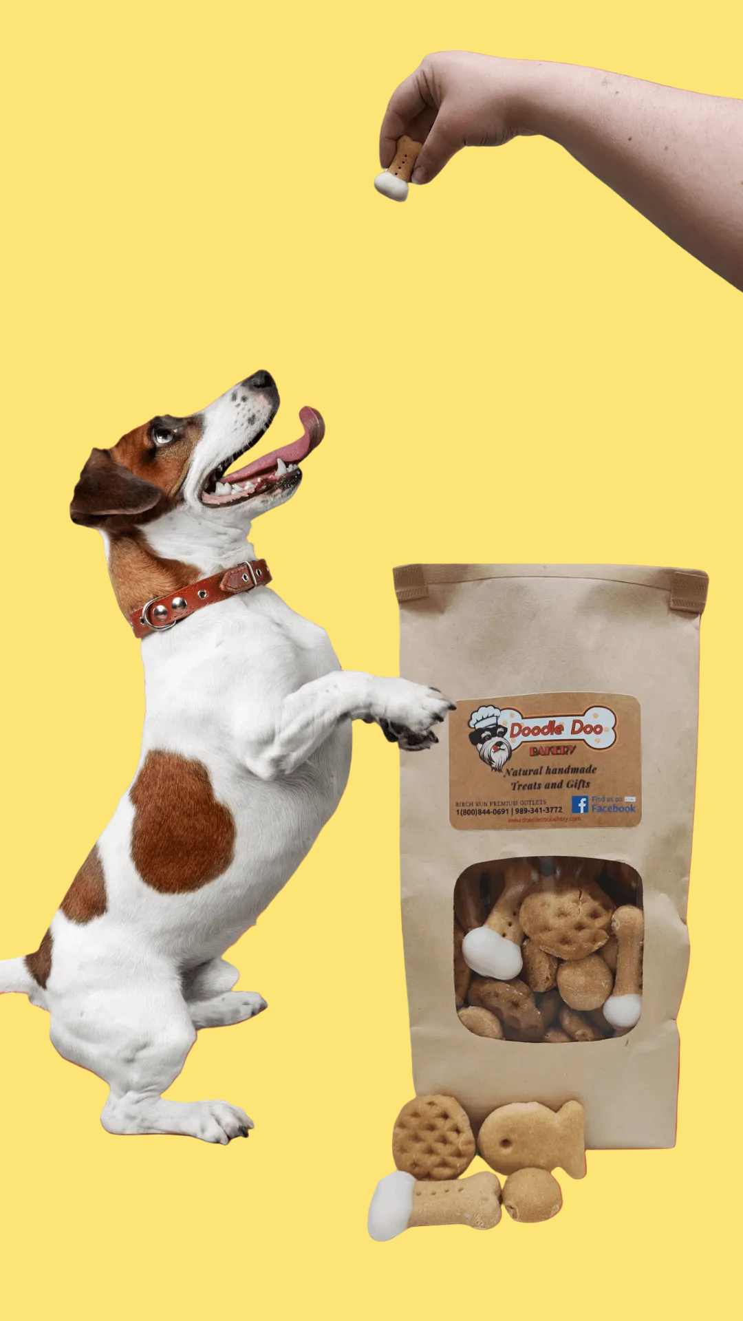 Dog standing on its hind legs reaching for a treat above a package of dog treats on an orange background with paw prints.