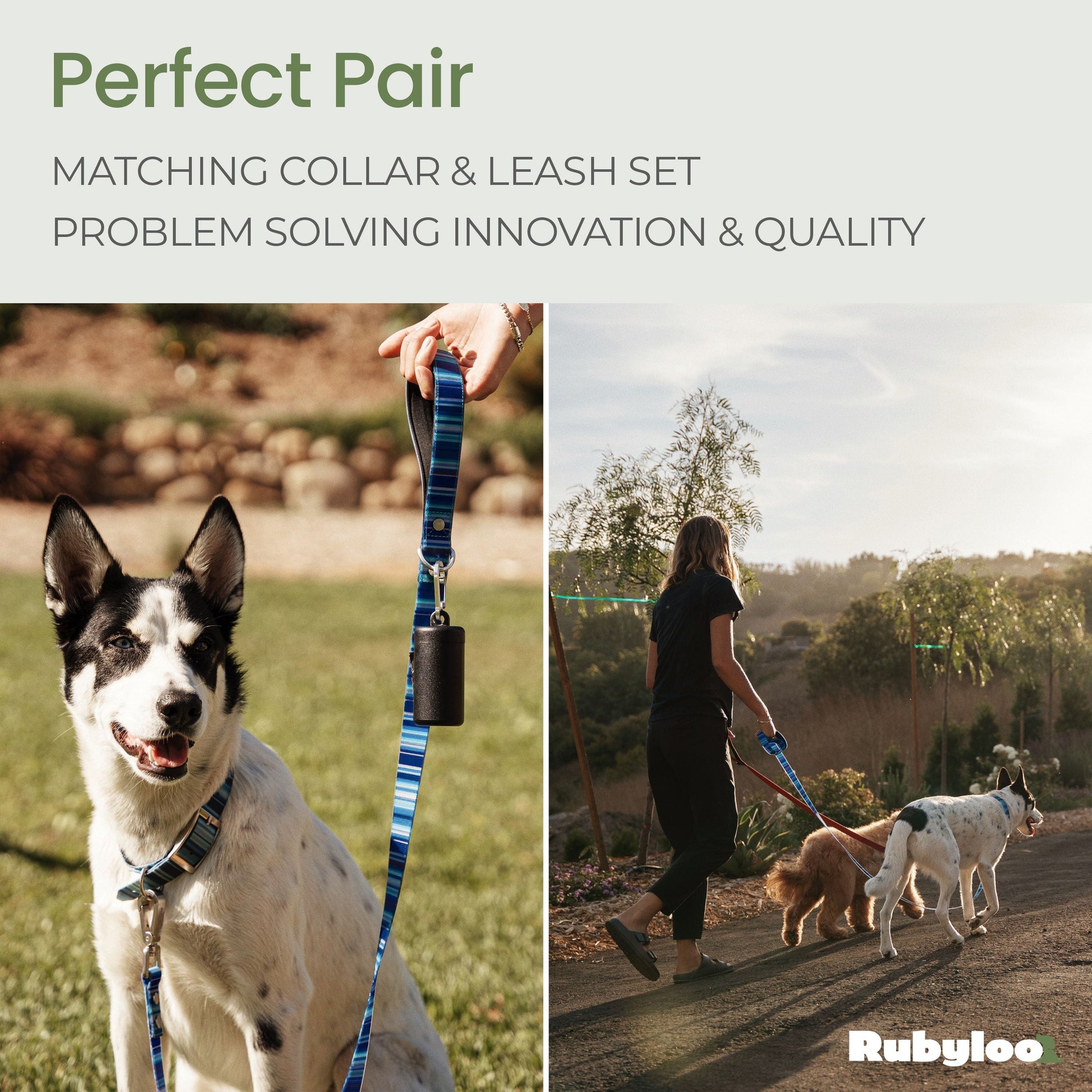 Dog wearing a blue collar and leash with text about matching collar and leash set, problem-solving innovation, and quality.